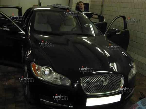 Jaguar