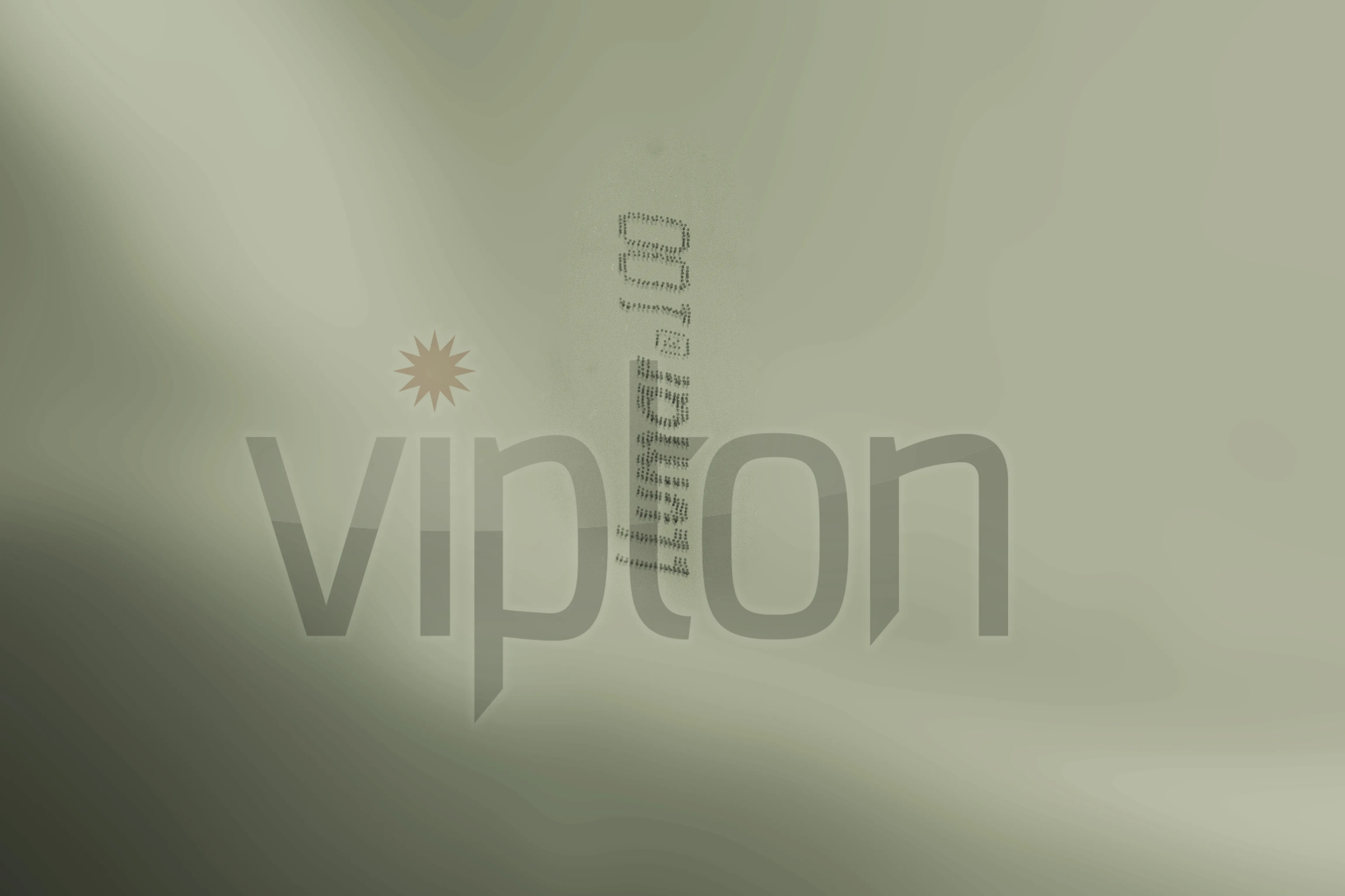 Гарантия от подделок пленки для бронирования авто Москва - VipTon