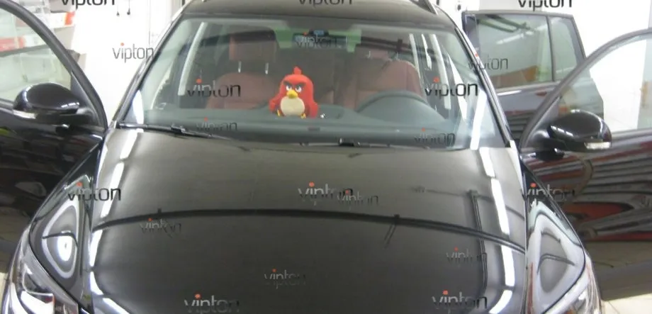 VW TIGUAN: защита лобового стекла 3 VW TIGUAN: защита лобового стекла 3