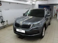 Skoda Kodiaq: тонировка