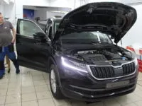 Skoda Karoq: тонирование