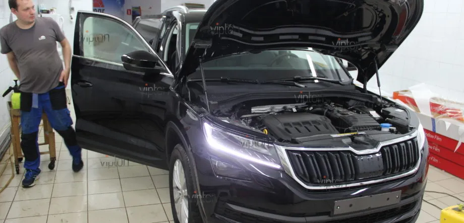 Skoda Karoq: тонирование 1 Skoda Karoq: тонирование 1