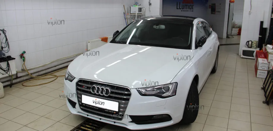 Audi S5 LLumar Platinum Plus PPF 3 Audi S5 LLumar Platinum Plus PPF 3