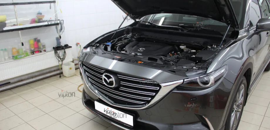Mazda CX-9:пленка SPARKS TOP. 8