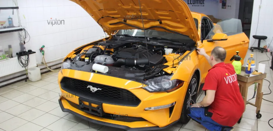 Ford Mustang Антигравийное покрытие 12 Ford Mustang Антигравийное покрытие 12
