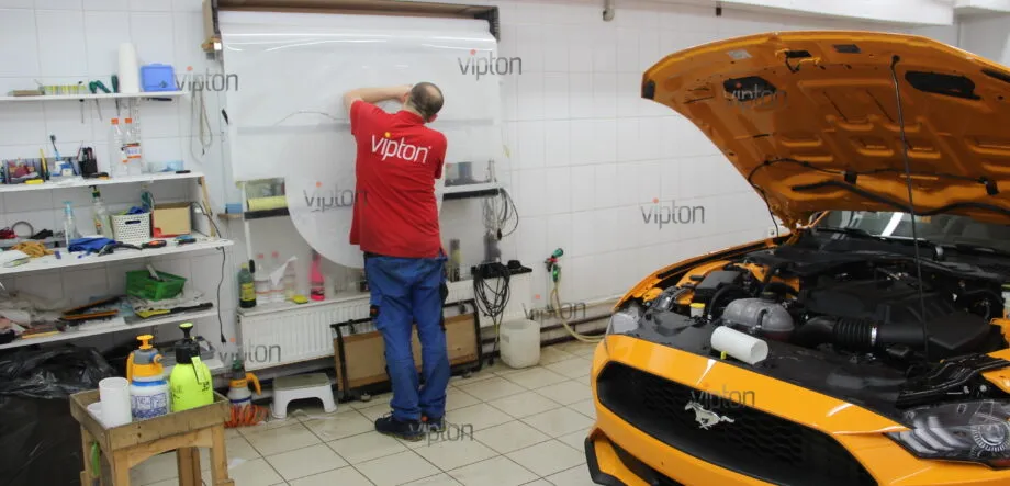 Ford Mustang Антигравийное покрытие 11 Ford Mustang Антигравийное покрытие 11