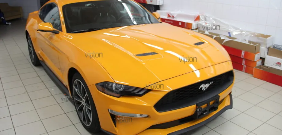 Ford Mustang Антигравийное покрытие 6 Ford Mustang Антигравийное покрытие 6