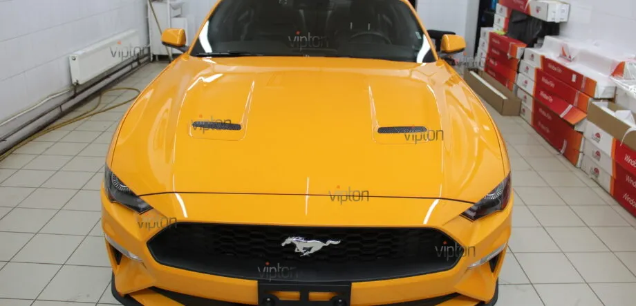 Ford Mustang Антигравийное покрытие 4 Ford Mustang Антигравийное покрытие 4