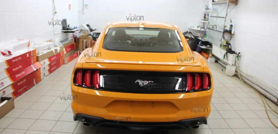 Ford Mustang Антигравийное покрытие 3 Ford Mustang Антигравийное покрытие 3